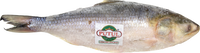 putul BRAND 71106 FZ HILSHA FISH (8/10)