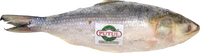 putul BRAND 71108 FZ WHOLE HILSHA FISH (15/20)