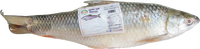 putul BRAND 71110 FZ WHOLE MRIGAL FISH (2 KG UP)