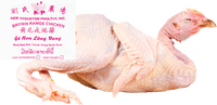 new stockton poultry BRAND 71520 FZ BROWN PULLETS (ASIAN CHCKN)
