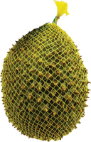 other BRAND 73330 FZ WHOLE DURIAN (VN)